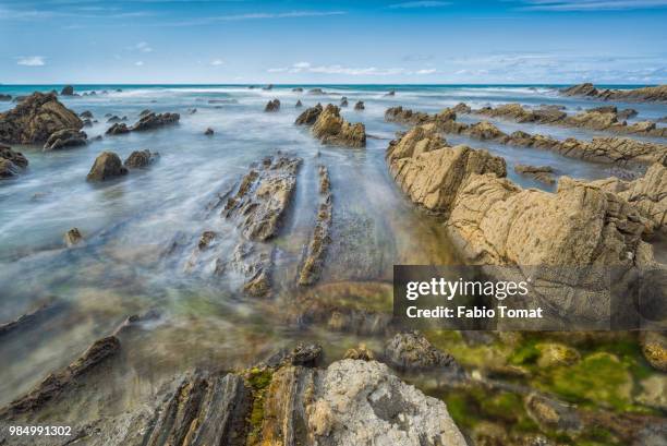 barrika - tomat stock pictures, royalty-free photos & images