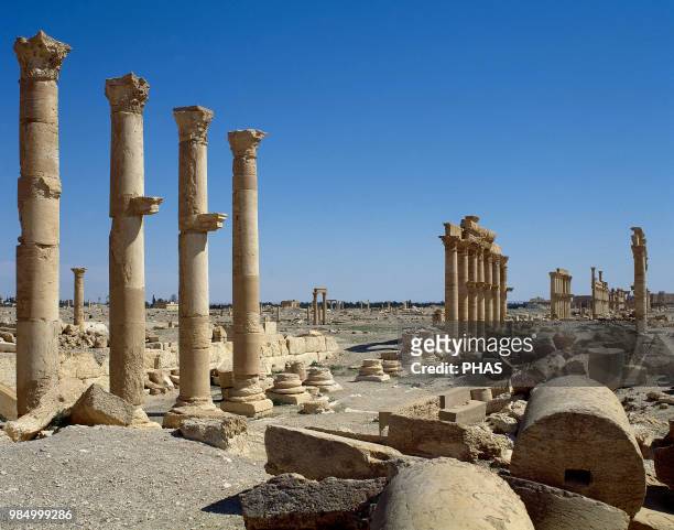 Syria. Palmyra city. The Great Colonnade. Roman Empire ruins. Tadmur, Homs. Photo before Syrian Civil War.