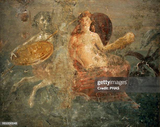 Marine centaur with the shield of Achilles and Tethys, sitting at his side. Roman fresco. From the House of the Quadriga VII 2, 25. Pompeii. Second...