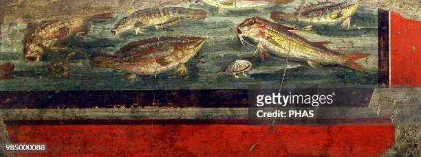 Marine bottom with fish and seafood. Middle of the 1st century AD. Part of a larger mural painting. From Pompeii. National Archaeological Museum,...