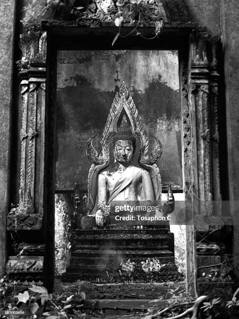 The Buddha
