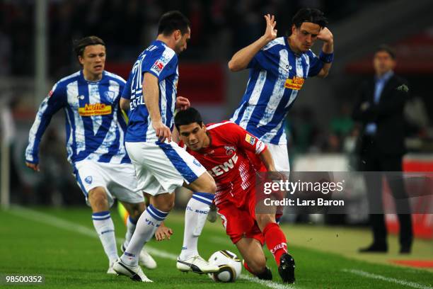 Taner Yalcin of Koeln is challenged by Marc Pfertzel and Patrick Fabian of Bochum during the Bundesliga match between 1. FC Koeln and VfL Bochum at...