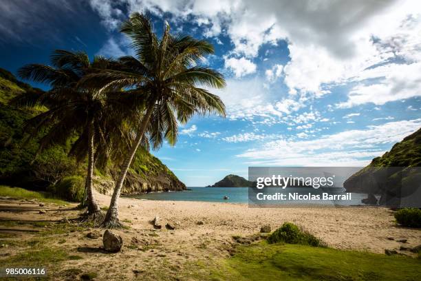 the beach to be - guadeloupe stock pictures, royalty-free photos & images