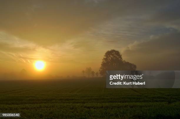 sonnenaufgang im vilstal (sunrise at vils river valley) - sonnenaufgang stock pictures, royalty-free photos & images