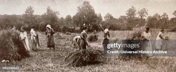 Photograph of female farm hands in Mosson, a commune in the Cote-d'Or department in eastern France. Dated 20th Century.