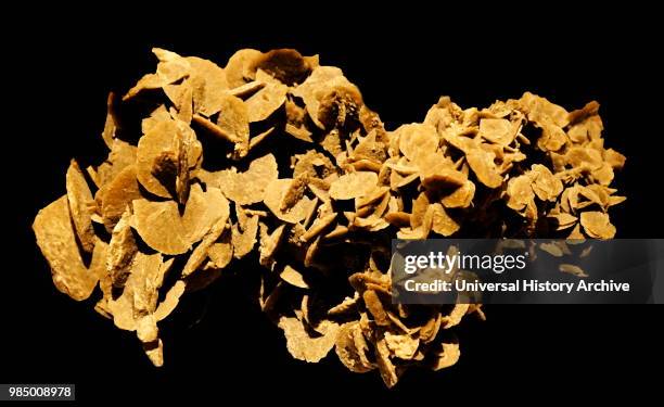 Sample of Selenite Desert Rose, a formation of crystals and clumps of gypsum or baryte which is rose-like. Dated 20th Century.