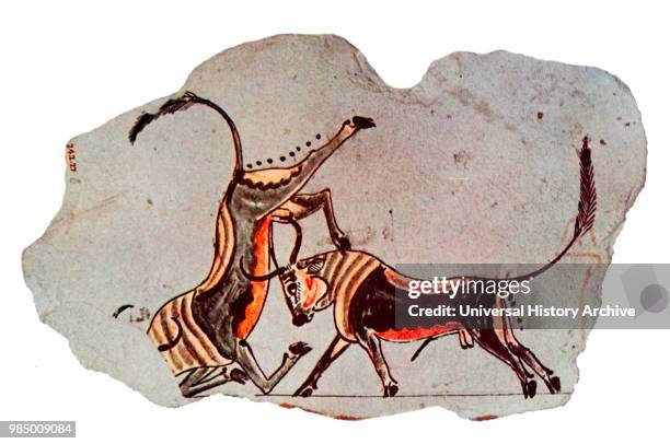 Fresco depicting an two Oxen fighting from an ancient Egyptian tomb. Dated 13th Century BC.