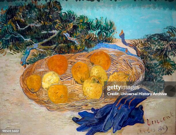 Painting titled 'Still Life of Oranges and Lemons with Blue Gloves' by Vincent van Gogh a Dutch Post-Impressionist painter. Dated 19th Century.