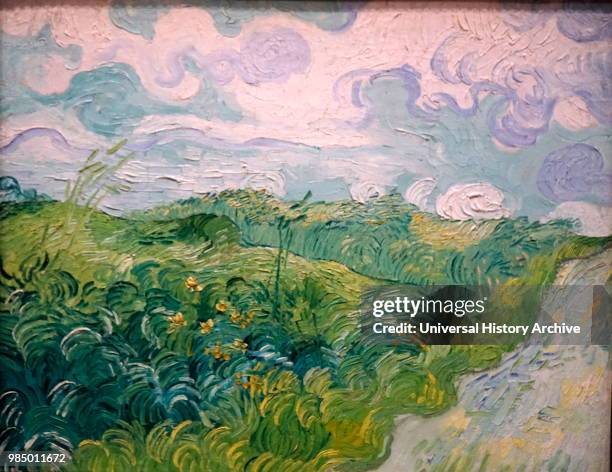 Painting titled 'Green Wheat Fields, Auvers' by Vincent van Gogh a Dutch Post-Impressionist painter. Dated 19th Century.