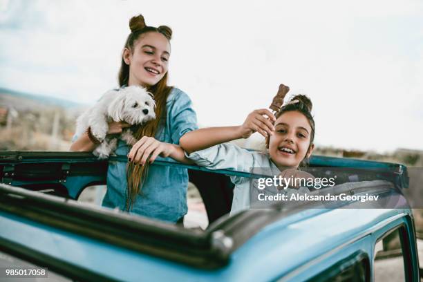 Girl Rides Dog Photos and Premium High Res Pictures - Getty Images