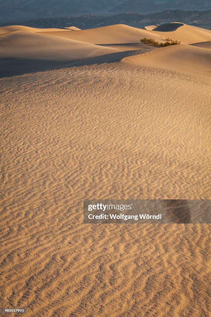 Mesquite Dunes