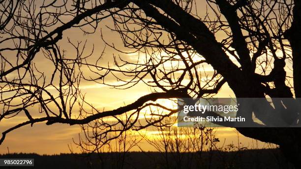 sonnenaufgang im herbst - sonnenaufgang stock pictures, royalty-free photos & images