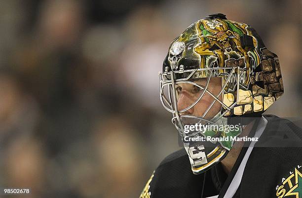 Goaltender Marty Turco of the Dallas Stars at American Airlines Center on February 2, 2010 in Dallas, Texas.