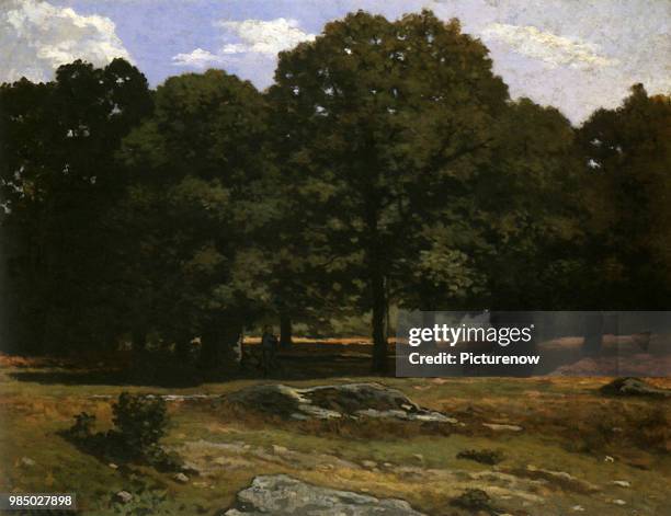 Avenue of Chestnut Trees at La Celle-Saint-Cloud, Sisley, Alfred.