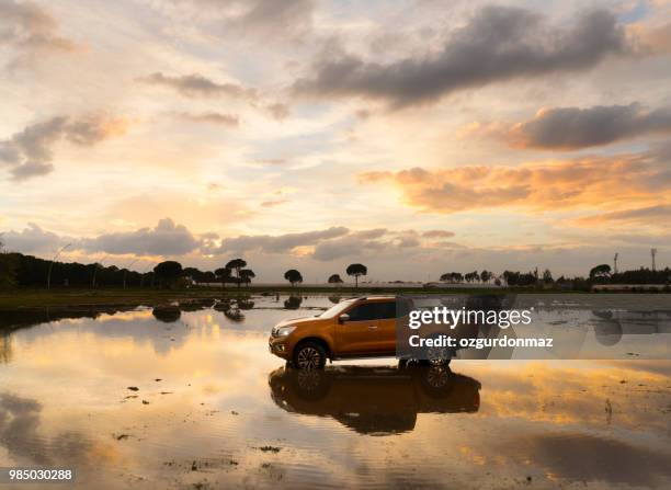 nissan np300 navara passing the pond - ozgurdonmaz stock pictures, royalty-free photos & images