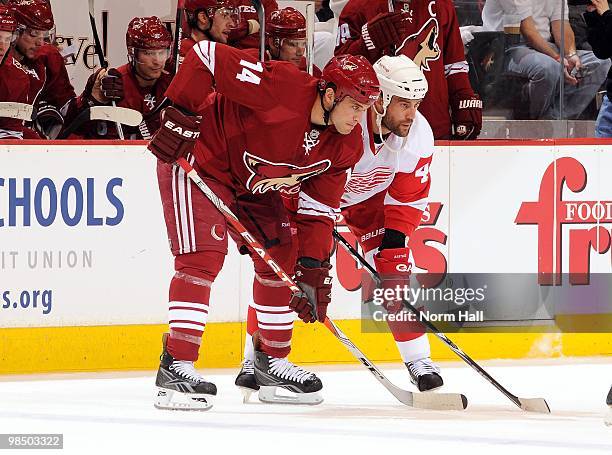 Taylor Pyatt of the Phoenix Coyotes and Todd Bertuzzi of the Detroit Red Wings get ready for a face off in Game One of the Western Conference...