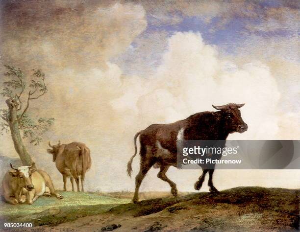 Bull and Cows, Potter, Paulus.