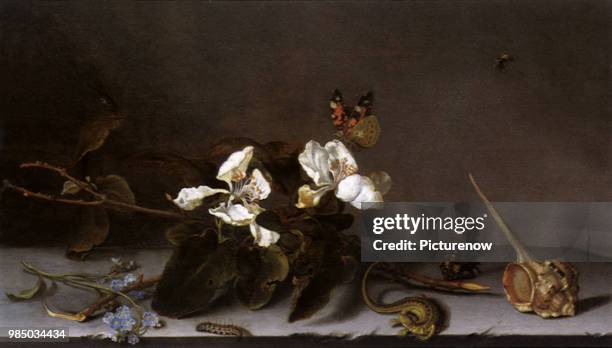 Apple Blossoms, Ast, Balthasar van der.