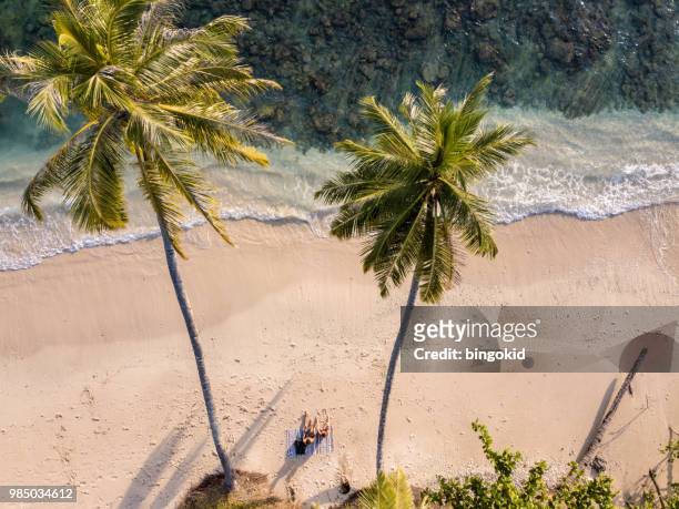 couple sitting on the tropical beach under two palm trees - coconut beach woman stock pictures, royalty-free photos & images