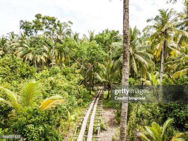 wooden bridge over the swamp in palm tree forest - ilhas mentawai imagens e fotografias de stock