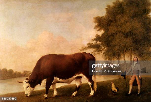 Lincolnshire Ox, Stubbs, George.