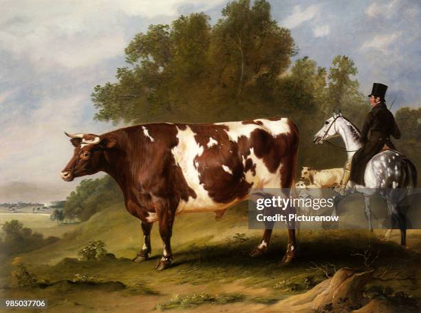 Durham Ox and Groom, Ferneley, John.