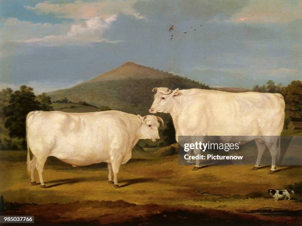 Twin White Oxen, Gwynn, William.