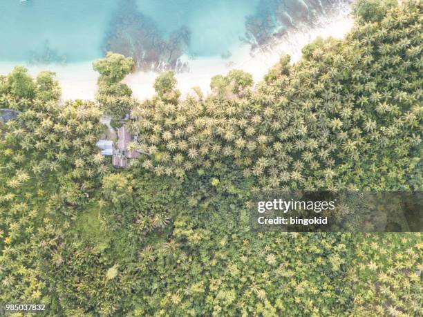 a few palm tree covered houses in topical forest from above - indonesia sumatra mentawai stock pictures, royalty-free photos & images