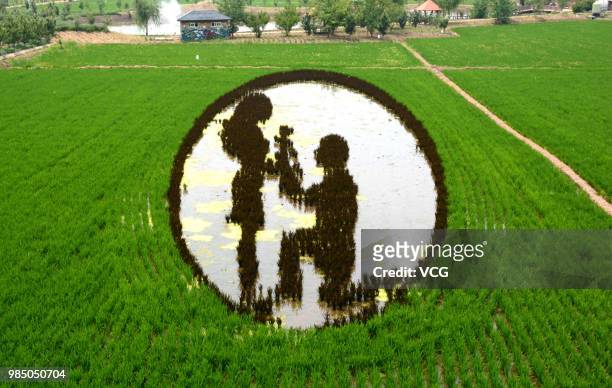 Rice field painting featuring romance is on display at a paddy field at Sibe town on June 24, 2018 in Shenyang, Liaoning Province of China. This...