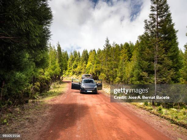 mountain road with rows of big trees to the sides crossing a forest with a damaged car waiting for assistance, in the terceira island in the azores islands, portugal. - opel corsa foto e immagini stock