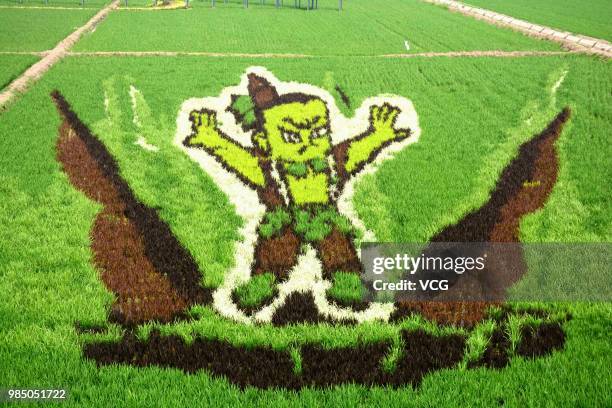 19 Paddy Field Cartoon Photos and Premium High Res Pictures - Getty Images 19 Paddy Field Cartoon Photos and Premium High Res Pictures - Getty Images