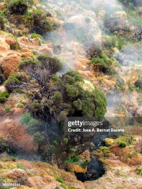 volcanic fumaroles with holes between the rocks issuing gases, surrounded with mosses and plants. terceira island in the azores islands, portugal. - stratovolcano bildbanksfoton och bilder