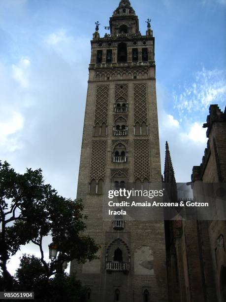 sevilla, spain. la giralda tower. - seville oranges stock pictures, royalty-free photos & images