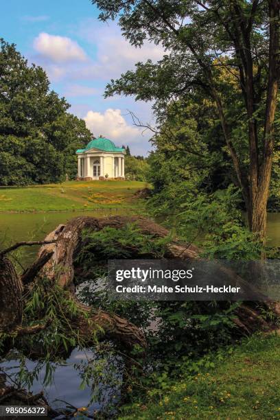 temple - heckler stock pictures, royalty-free photos & images