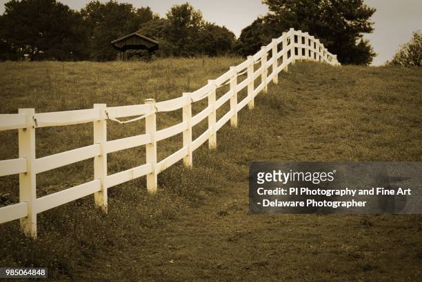 aged fences 2 - sprossenzaun stock-fotos und bilder