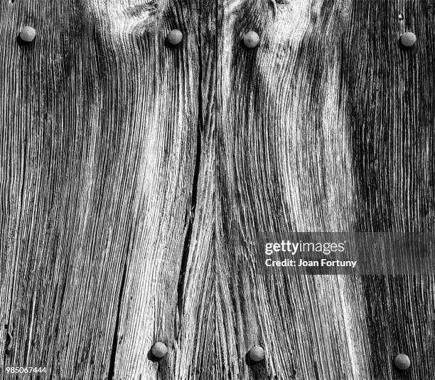 old door 2 - hardwood tree stock pictures, royalty-free photos & images