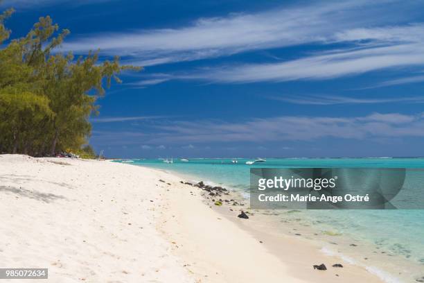 petite case noyale,mauritius - marie ange ostré photos et images de collection