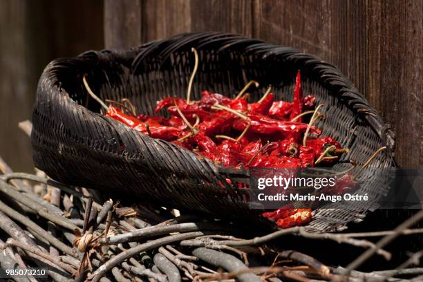 china, yunnan red hot chili - marie ange ostré - fotografias e filmes do acervo