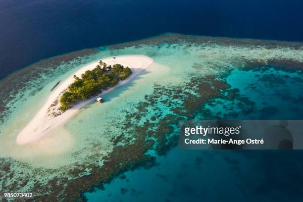 maldives, island and lagoon - marie ange ostré photos et images de collection