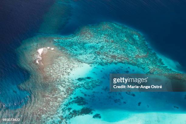 maldives, coral reef and lagoon - marie ange ostré photos et images de collection
