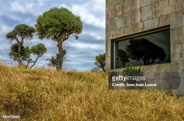 ventana a la naturaleza (ii) - ventana bildbanksfoton och bilder