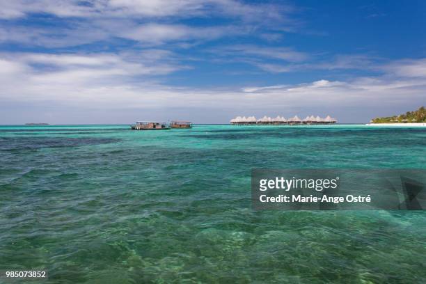 maldives, dhuni kolhu lagoon - marie ange ostré photos et images de collection