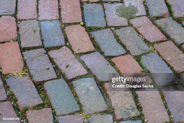 stone pavers on a walkway - black mold stock pictures, royalty-free photos & images