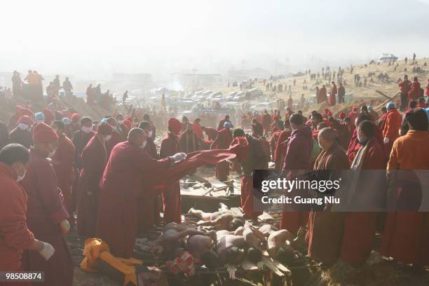 Tibetan monks prepare a mass cremation for the victims of a strong earthquake, on April 17 in Jiegu, near Golmud, China. Current reports state 1144...