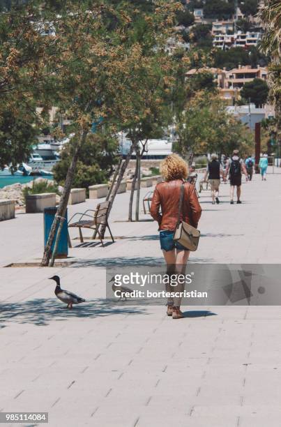 rear view full length of woman walking by mallard ducks on footpath - bortes stock-fotos und bilder