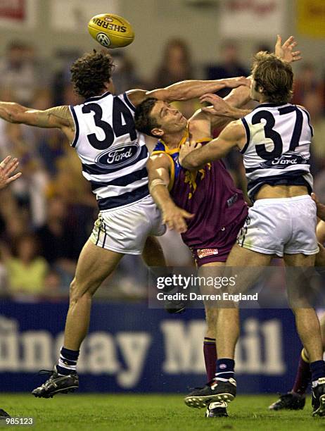 Alastair Lynch of Brisbane goes for the ball against James Rahilly and Tom Harley of Geelong during the round six AFL match between the Brisbane...