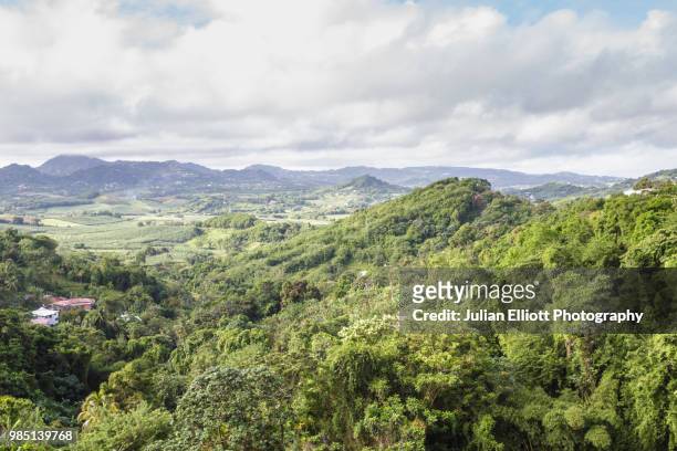 elevated view of the island of martinique. - stratovolcano 個照片及圖片檔