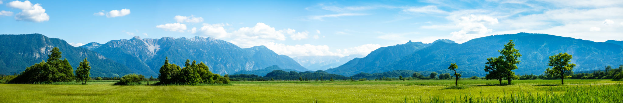 summer landscape Bavaria