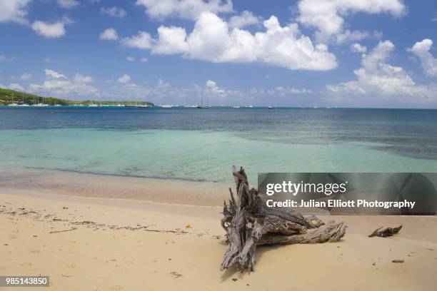 the tropical island paradise of martinique. - stratovolcano imagens e fotografias de stock