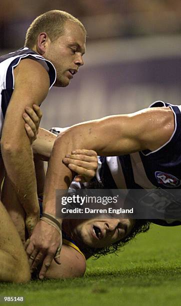 Jason Mooney of Geelong tackles Marcus Picken of Brisbane during the round six AFL match between the Brisbane Lions and the Geelong Cats played at...